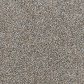 Dreamweaver Carpet Trendsetter I Crystal Clear DREAMWEAVER