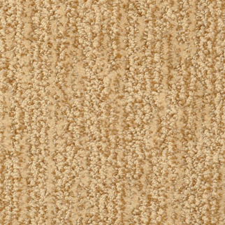 Masland Carpets Mesa Verde Sienna Masland
