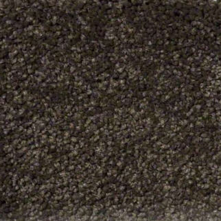 Shaw Floors Ultimate Expression 15' Tropic Vine SHAW