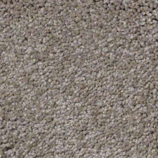 Shaw Floors Ultimate Expression 15' Chinchilla SHAW