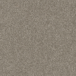 Pentz Commercial Terrain Enclave ENGINEERED FLOORS