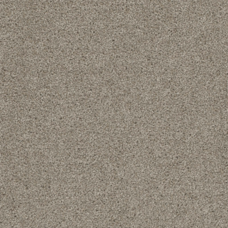 Pentz Commercial Terrain Ambiance ENGINEERED FLOORS