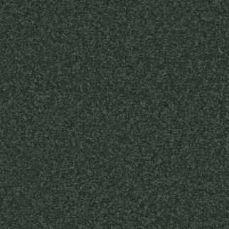 Shaw Floors Awaken Spirit II 12' Blue Spruce SHAW