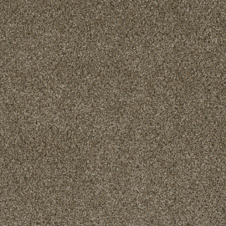 Dreamweaver Carpet Luxor III Island Spice DREAMWEAVER