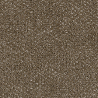 Pentz Commercial Domain Habitat ENGINEERED FLOORS