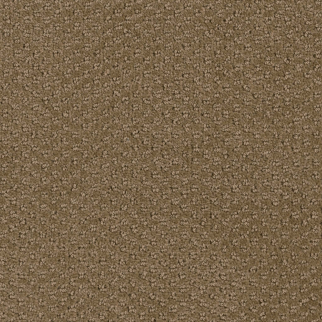 Pentz Commercial Domain Haven ENGINEERED FLOORS