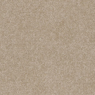 Pentz Commercial Terrain Coast ENGINEERED FLOORS