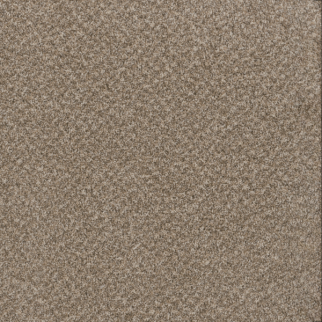 Dreamweaver Carpet Toast Of The Town Natural Cotton DREAMWEAVER