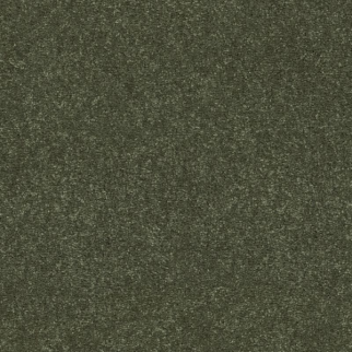 Shaw Floors Easy Spirit I 12 Garden View SHAW