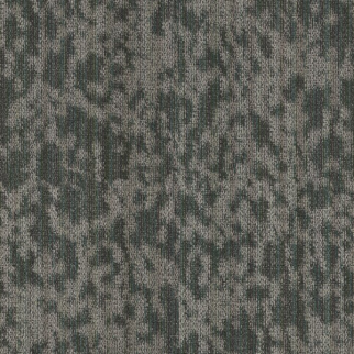 Philadelphia Commercial Folium Hideaway Shaw