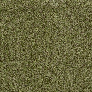 Philadelphia Commercial Arbor View (T) Mossy Bark Shaw