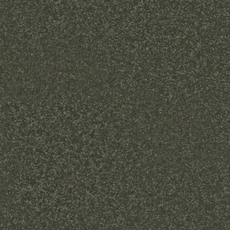 Shaw Floors Awaken Spirit II 12' Olive Tree SHAW