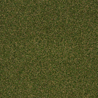 Philadelphia Commercial Park Central Sea Grass Shaw