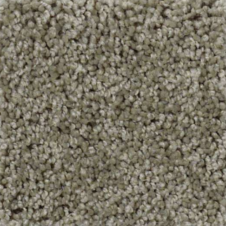 Shaw Floors Origins Silver Sage SHAW