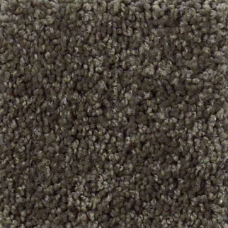 Shaw Floors Origins Garden Retreat SHAW