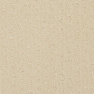 Masland Carpets Pinehurst Pin Masland