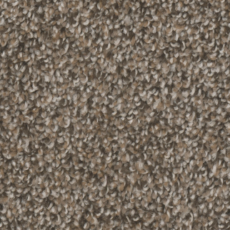 Dreamweaver Carpet West Brow Copper Mine DREAMWEAVER