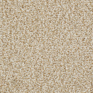 Masland Carpets St Augustine Timeless Masland