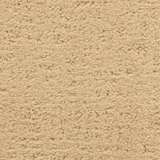 Masland Carpets Santa Barbara Mesa Masland