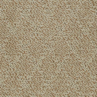 Dixie Home Fine Art Avenue