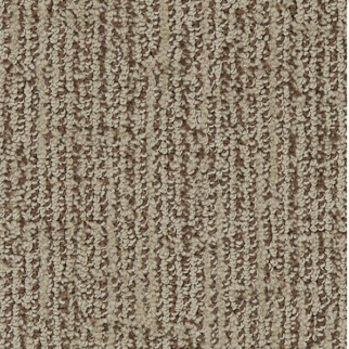 Dixie Home Pop Art Tango