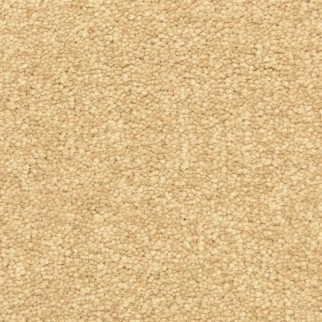 Masland Carpets Vero Beach Burma Masland