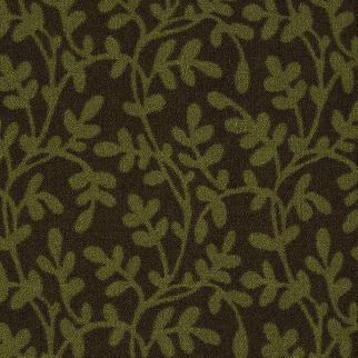 Philadelphia Commercial Lowland Cascadilla Shaw