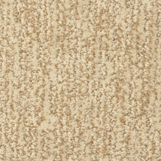 Masland Carpets Mesa Verde Coventry Masland