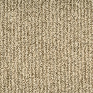 Masland Carpets Mesa Bella Duna Masland