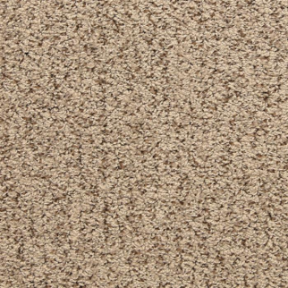 Masland Carpets Sea Grass Driftwood Masland