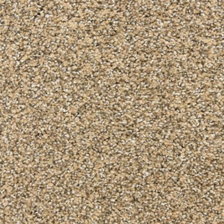 Dixie Home Marinette Bronze