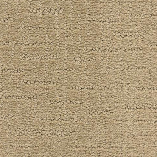 Dixie Home My Hero Champion