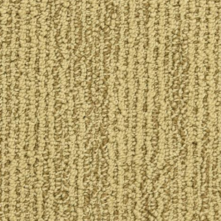 Dixie Home Advocate Champion