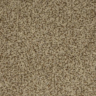 Dixie Home New Age Champion