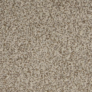 Dixie Home New Age Accolade