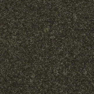 Shaw Floors All Star Weekend I 15' Going Green SHAW