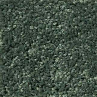 Shaw Floors All Star Weekend I 12' Going Green SHAW