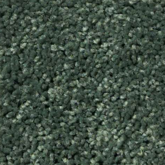 Shaw Floors All Star Weekend III 12' Going Green SHAW