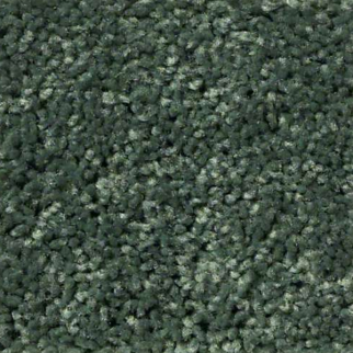 Shaw Floors Full Court 12 Gonig Green SHAW