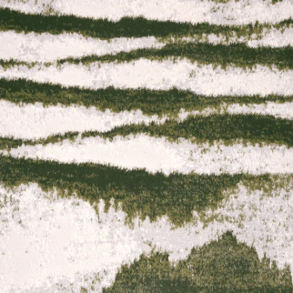 Stanton Carpet Vanishing Point Meadow Stanton