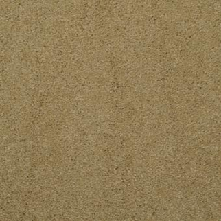 Masland Carpets Embrace Bronze Tone Masland