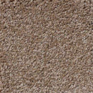 Shaw Floors Magic At Last IV 12' Wheat Grass SHAW