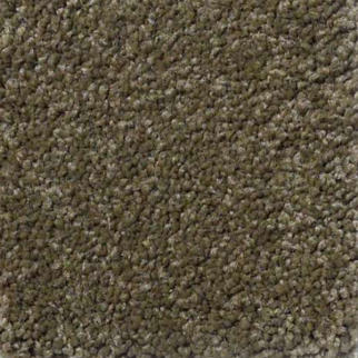 Shaw Floors Magic At Last III 15' Celery SHAW