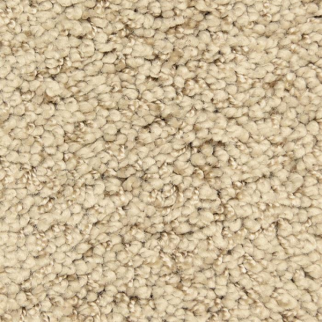 Masland Carpets Shangri-La Too Immortal Masland