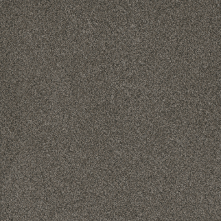 Dreamweaver Carpet Titan I River Crest DREAMWEAVER