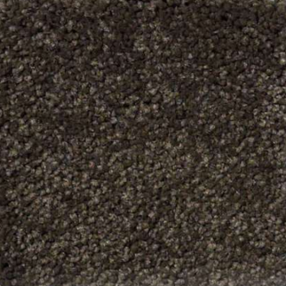 Shaw Floors Magic At Last IV 12' Sprout SHAW