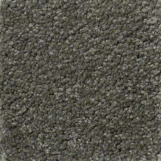 Shaw Floors Magic At Last IV 12' Garden Spot SHAW