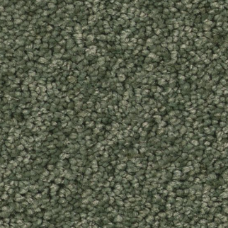 Tuftex Enchanting Bereyl SHAW