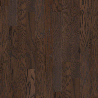 Shaw Hardwood Albright Oak 5 Chocolate Shaw