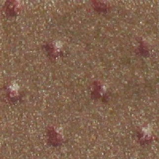 Milliken Carpets Legacy Nutmeg II